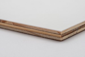 Agro-Plast plywood laminé