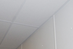 Agro-Esk tuile plafond