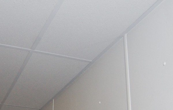 Agro-Esk tuile plafond