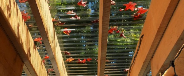 Gazebo, solarium, serre. Un produit, trois applications. post thumb