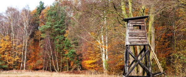 La saison de la chasse est ouverte post thumb
